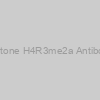 Histone H4R3me2a Antibody